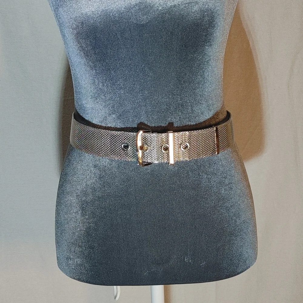 Metal Belt